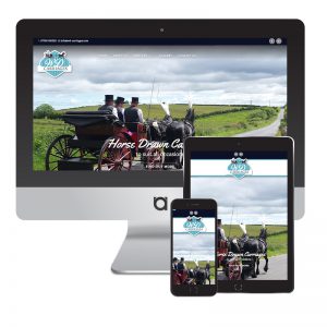 WD carriages website design